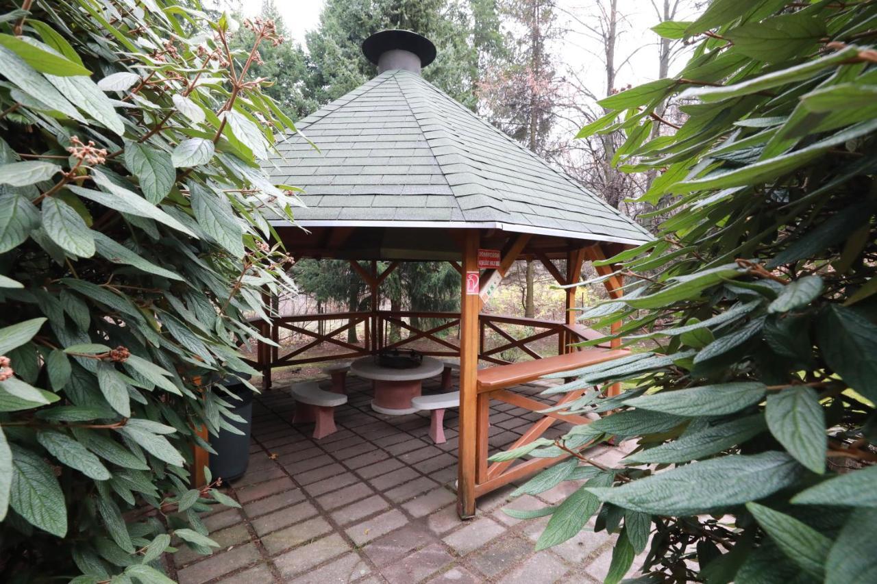 Hotel Geopark Panzió Bukkszentkereszt Zewnętrze zdjęcie